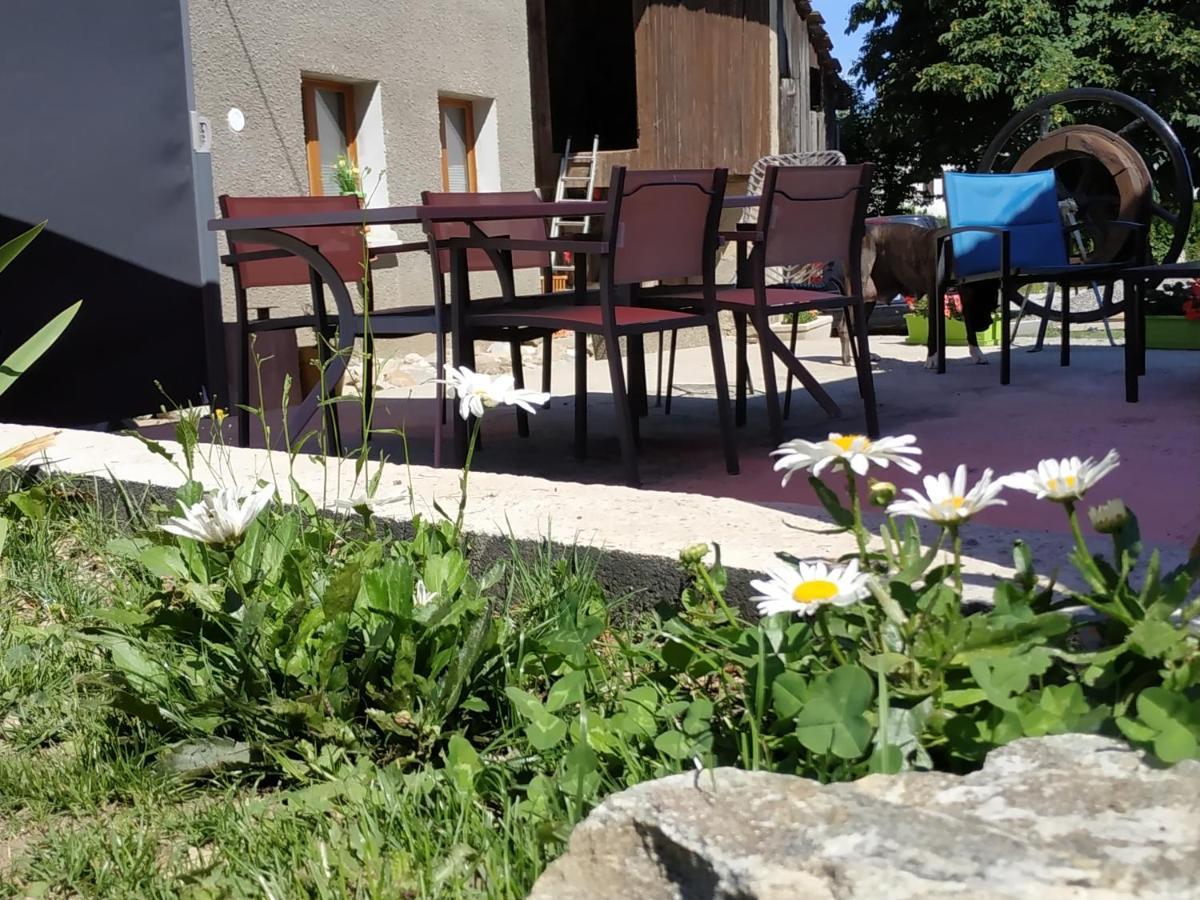 Maison D'Hotes Des Bassins D'Oche Saint-Paul-en-Chablais Exterior photo